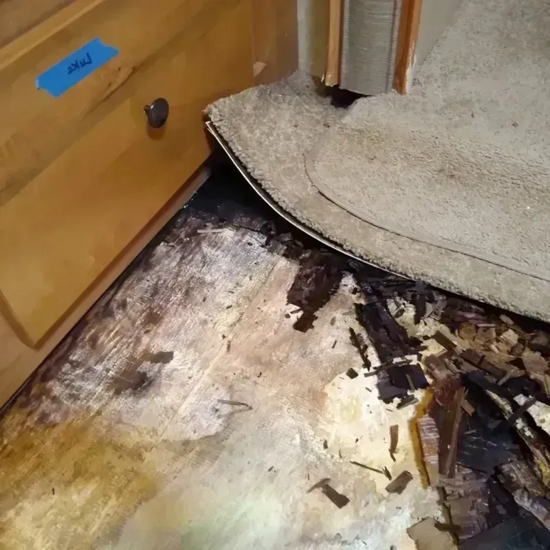 Wood Floor Water Damage in West Salem, OH